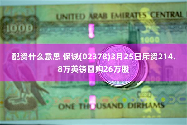 配资什么意思 保诚(02378)3月25日斥资214.8万英镑回购26万股