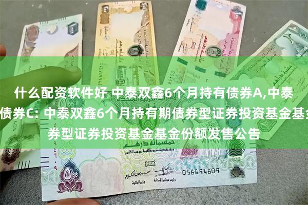 什么配资软件好 中泰双鑫6个月持有债券A,中泰双鑫6个月持有债券C: 中泰双鑫6个月持有期债券型证券投资基金基金份额发售公告
