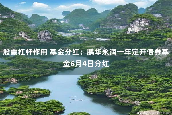股票杠杆作用 基金分红：鹏华永润一年定开债券基金6月4日分红