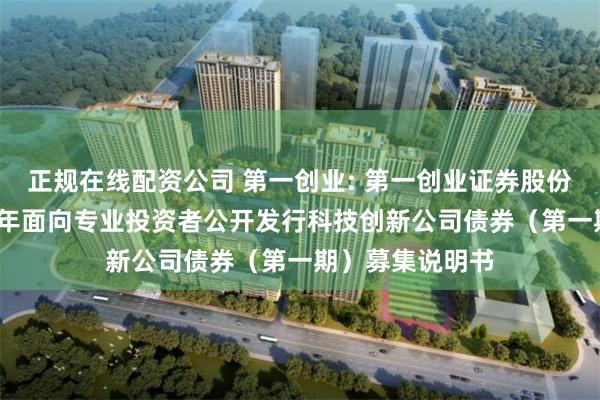 正规在线配资公司 第一创业: 第一创业证券股份有限公司2025年面向专业投资者公开发行科技创新公司债券(第一期)募集说明书