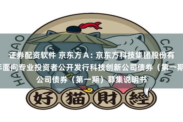 证券配资软件 京东方A: 京东方科技集团股份有限公司2025年面向专业投资者公开发行科技创新公司债券(第一期)募集说明书