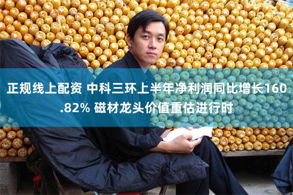 正规线上配资 中科三环上半年净利润同比增长160.82% 磁材龙头价值重估进行时