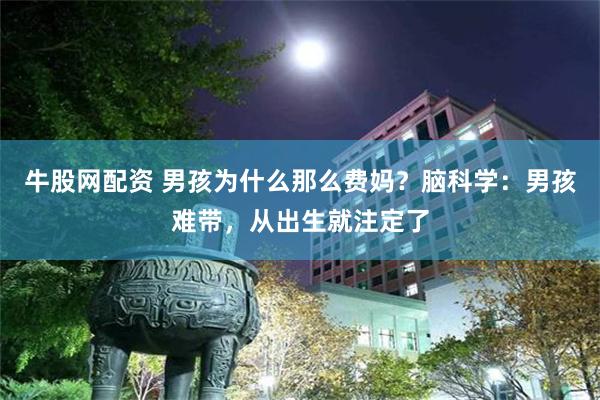 牛股网配资 男孩为什么那么费妈？脑科学：男孩难带，从出生就注定了