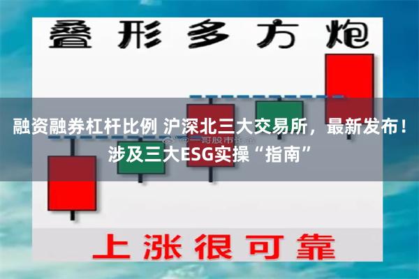 融资融券杠杆比例 沪深北三大交易所，最新发布！涉及三大ESG实操“指南”