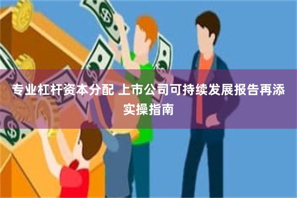 专业杠杆资本分配 上市公司可持续发展报告再添实操指南