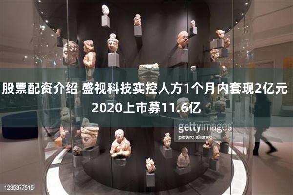 股票配资介绍 盛视科技实控人方1个月内套现2亿元 2020上市募11.6亿