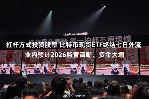 杠杆方式投资股票 比特币现货ETF终结七日外流 业内预计2026监管清晰、资金大增