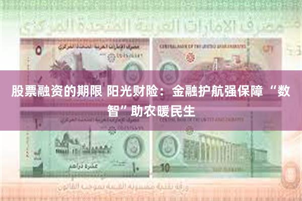 股票融资的期限 阳光财险：金融护航强保障 “数智”助农暖民生